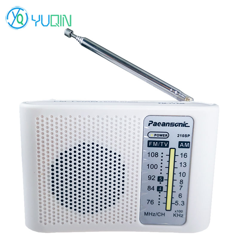 Kit Radio AM/FM 210SP Proyek P - Diy Electronics Projects For Adults ulasan dan harga